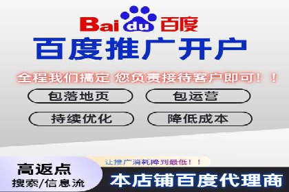 百度优化推广案例研究：如何提高网站转化率